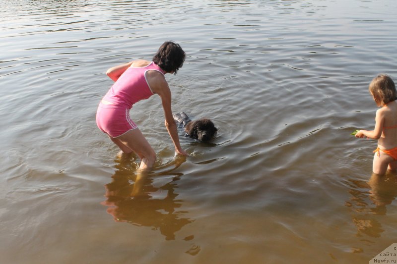 Фотография № 129641