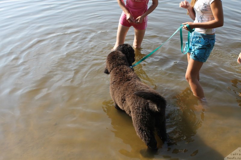 Фотография № 129642