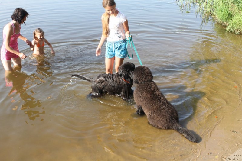 Фотография № 129643