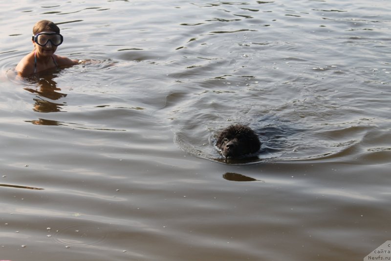 Фотография № 129646