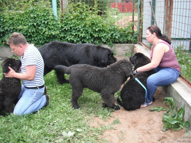 Фотография № 129662