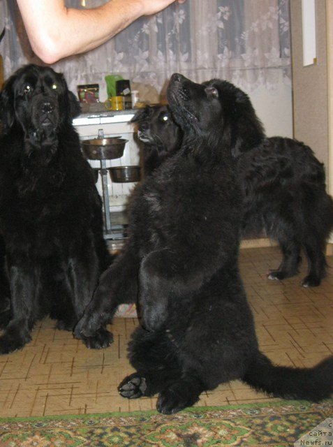 Фотография № 129666