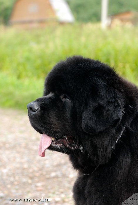 Фотография № 129681