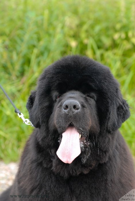 Фотография № 129682