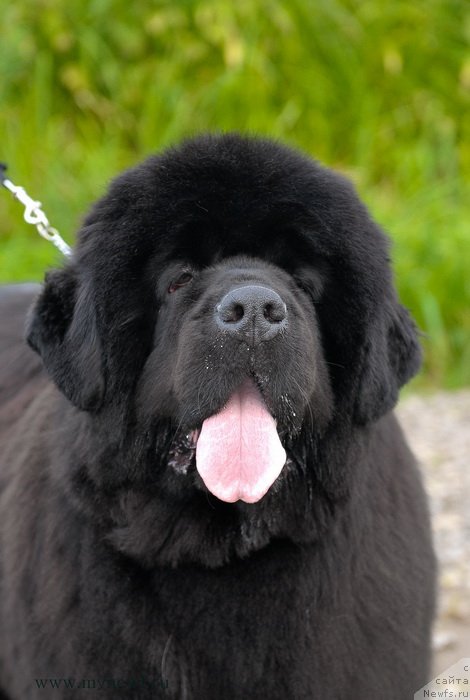 Фотография № 129683