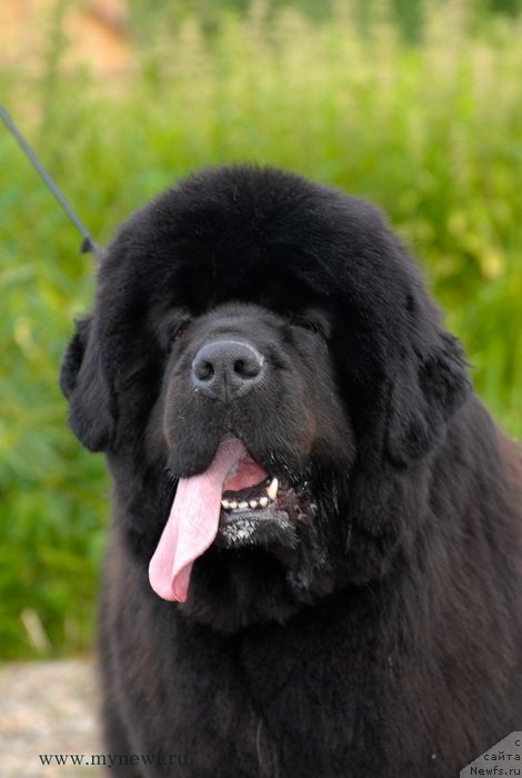 Фотография № 129684