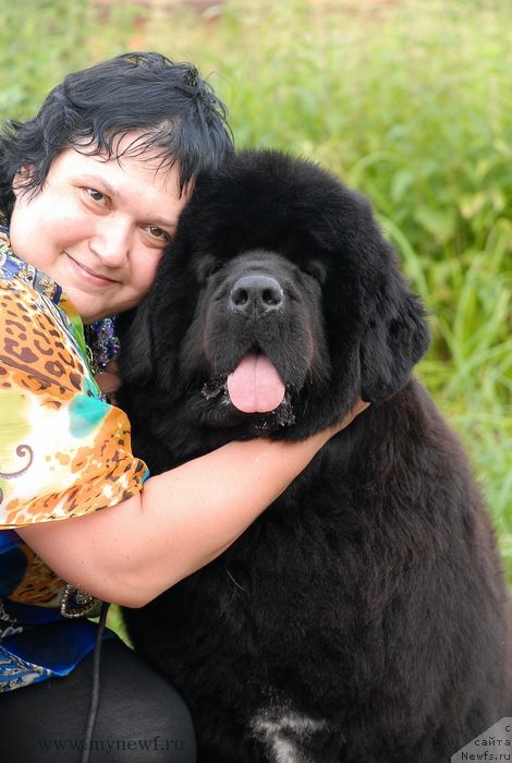 Фотография № 129685