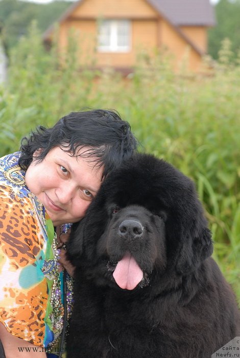 Фотография № 129686