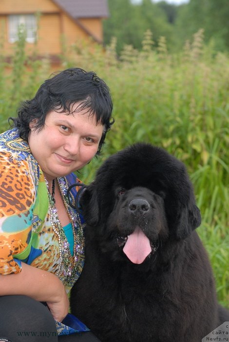 Фотография № 129687