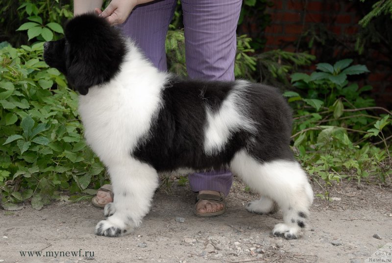 Фотография № 129688