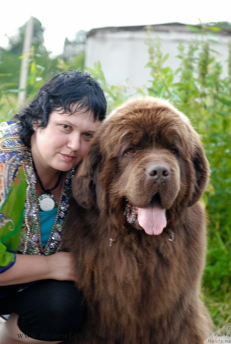 Фото: ньюфаундленд Aetna vom Riesrand, Варвара Рыбалова