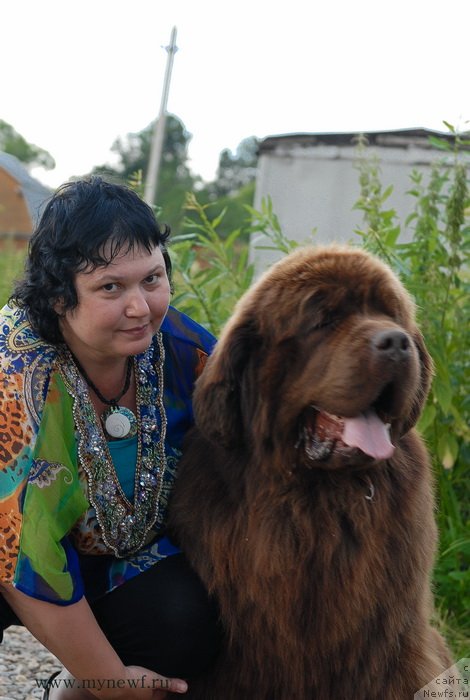 Фото: ньюфаундленд Aetna vom Riesrand, Варвара Рыбалова