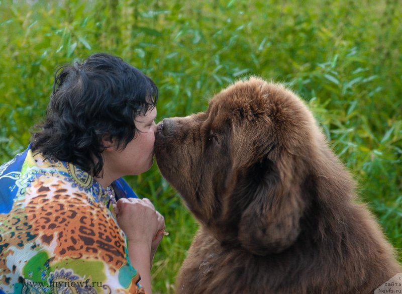 Фото: ньюфаундленд Aetna vom Riesrand, Варвара Рыбалова