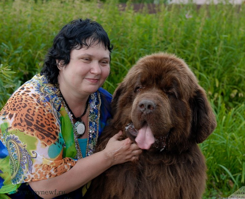 Фото: ньюфаундленд Aetna vom Riesrand, Варвара Рыбалова