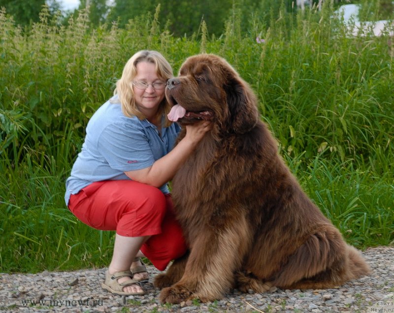 Фото: ньюфаундленд Aetna vom Riesrand, Юлия Ястребова