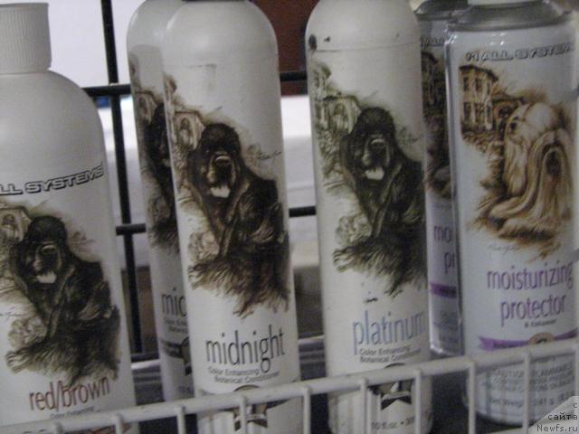 Фотография № 12974