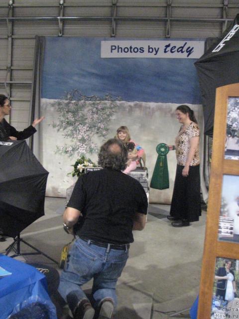 Фотография № 12978