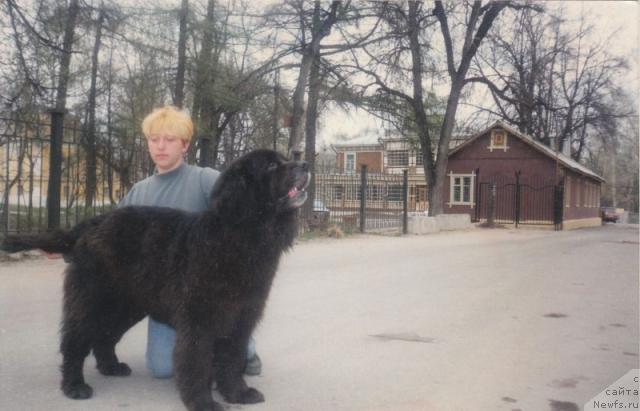 Фото: Екатерина Кузнецова, Жанетта Бьюкент Гранд