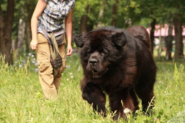 Фотография № 129796