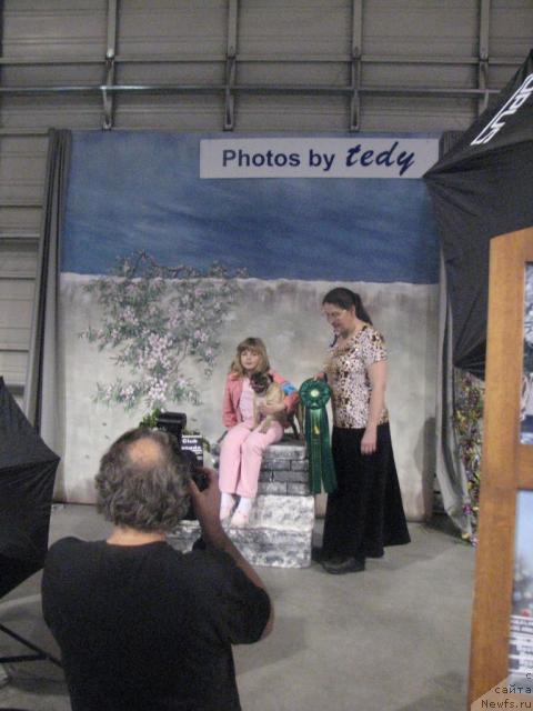 Фотография № 12980