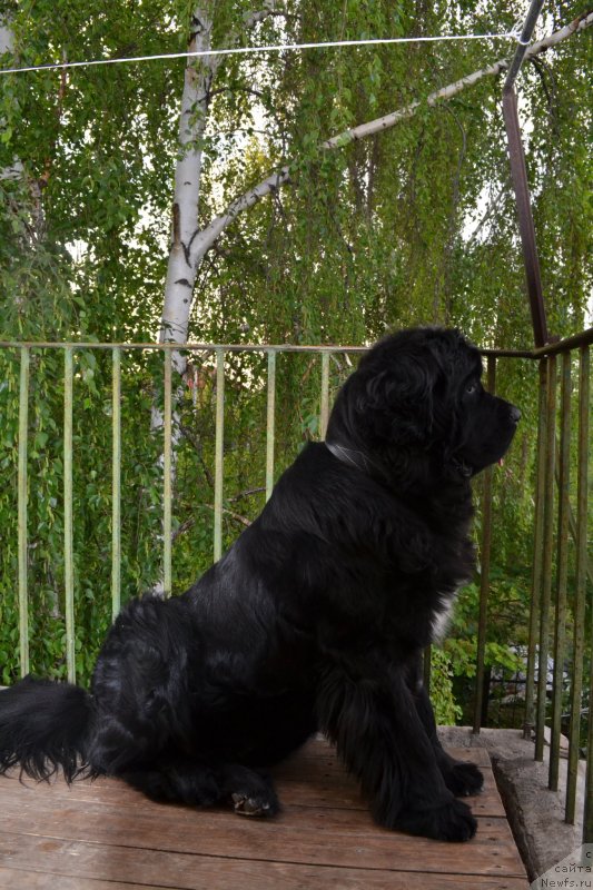 Фотография № 129811