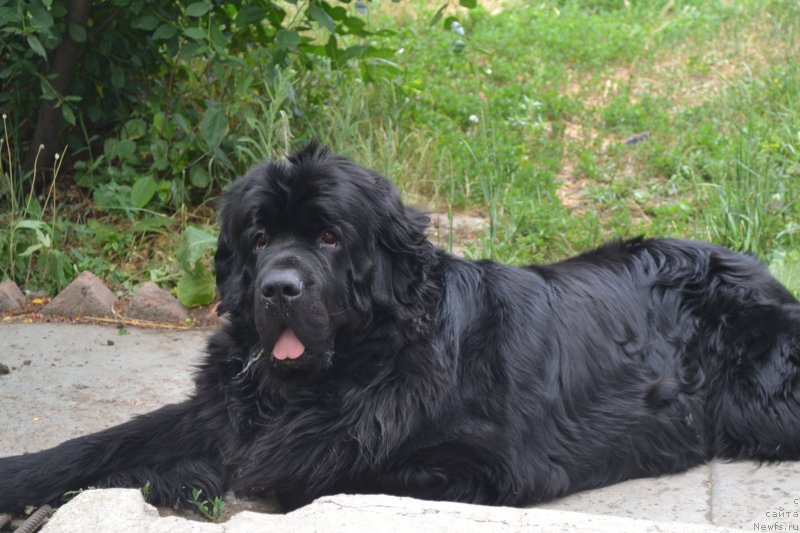 Фотография № 129815