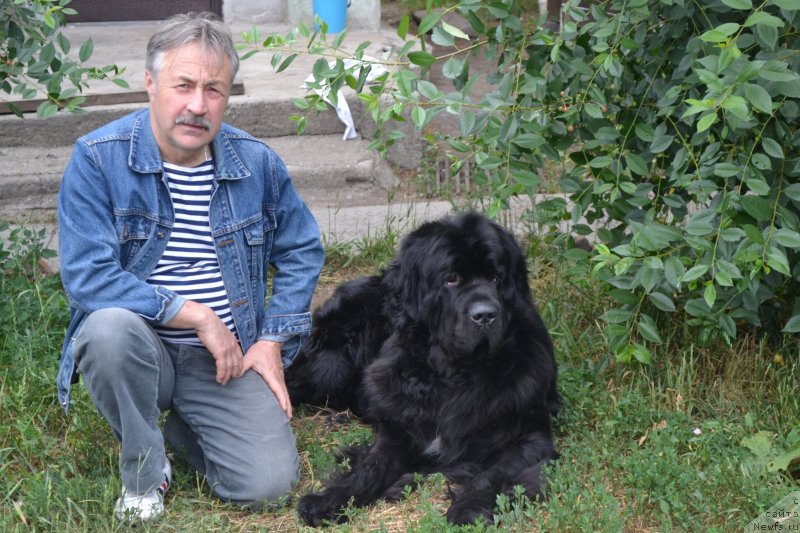 Фотография № 129817