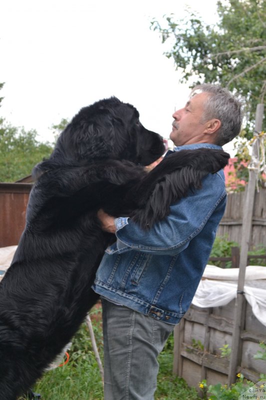 Фотография № 129818