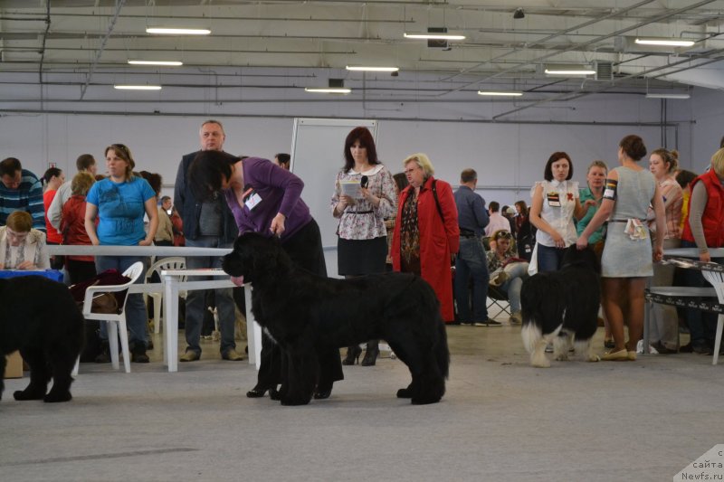 Фотография № 129822