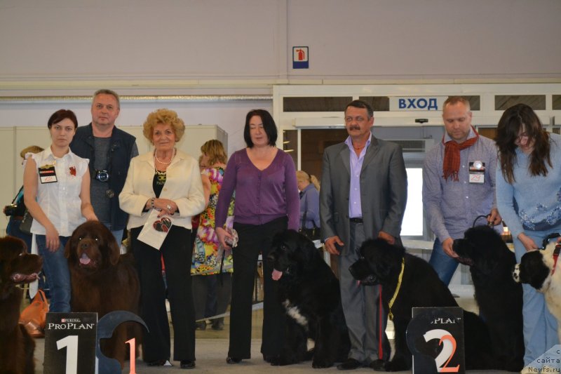 Фотография № 129823