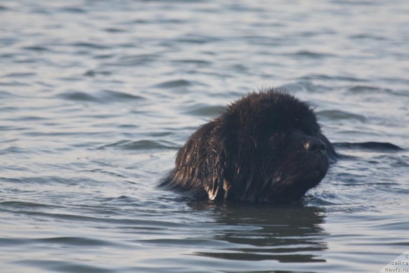 Фотография № 129869