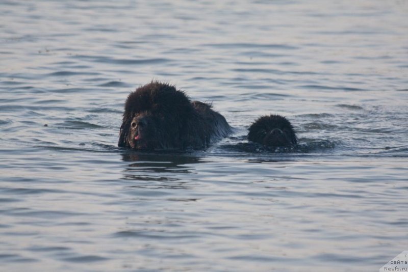 Фотография № 129872