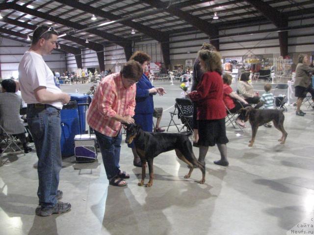 Фотография № 12988