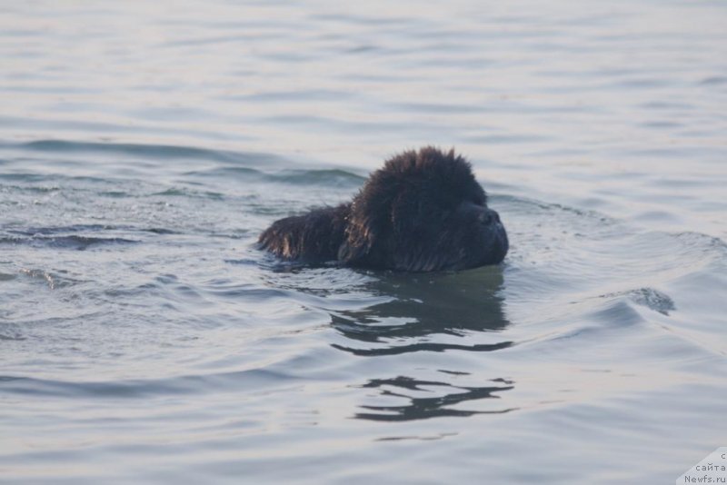 Фотография № 129882