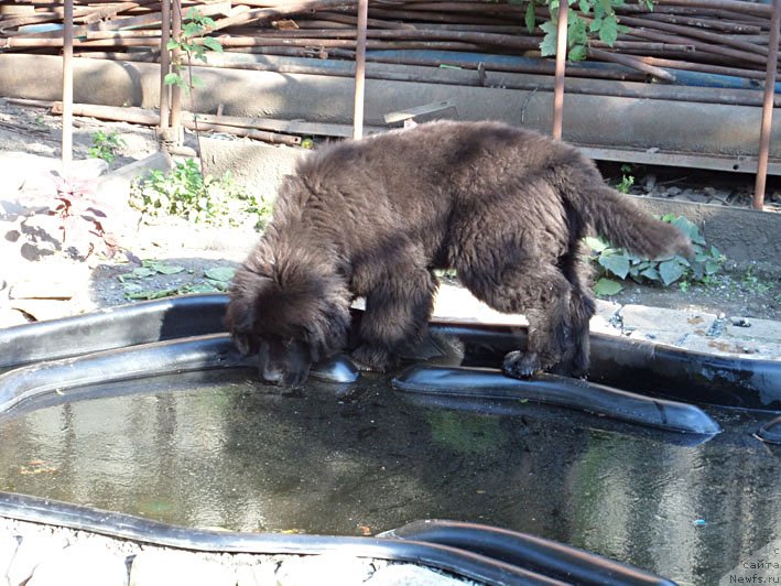 Фотография № 129891