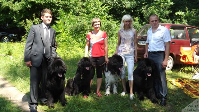 Фото: ньюфаундленд Persival Mister Newf, ньюфаундленд Vanilla Sky Lady Super Mishka, ньюфаундленд Bella Donna Barbaresco Super Mishka, ньюфаундленд Vincent Black King Super Mishka