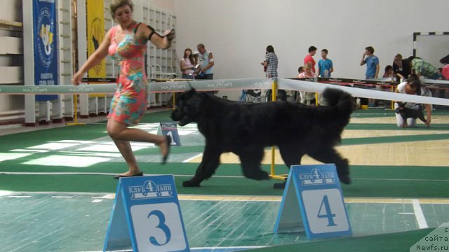 Фотография № 129988