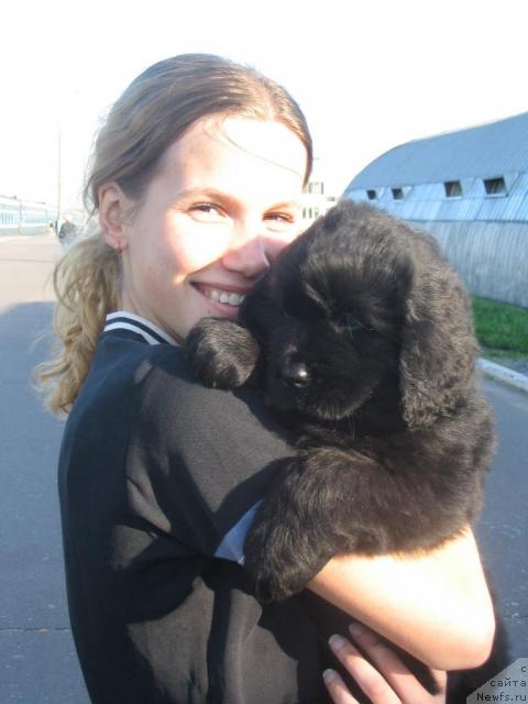 Фотография № 13