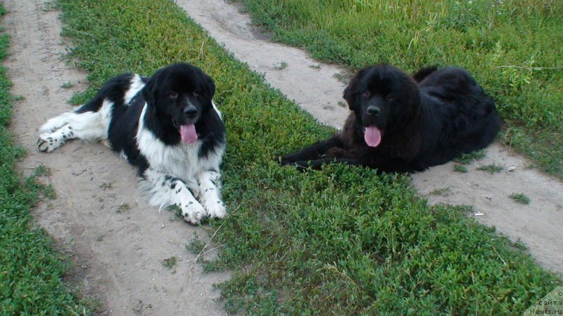 Фотография № 130005