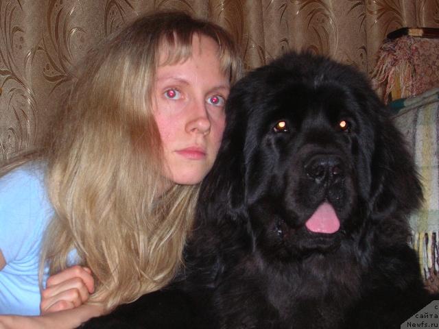 Фото: Елизавета Незнакомцева, ньюфаундленд King of Helluland Dizzy Beauty
