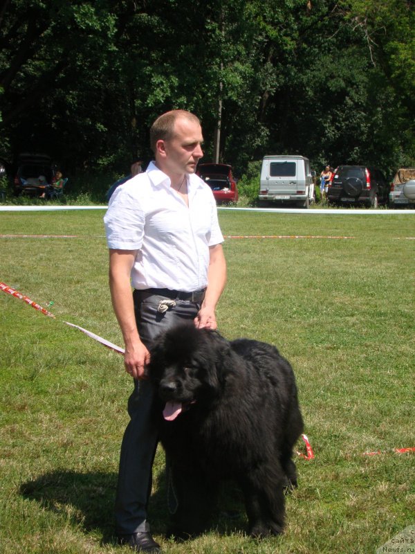 Фотография № 130041