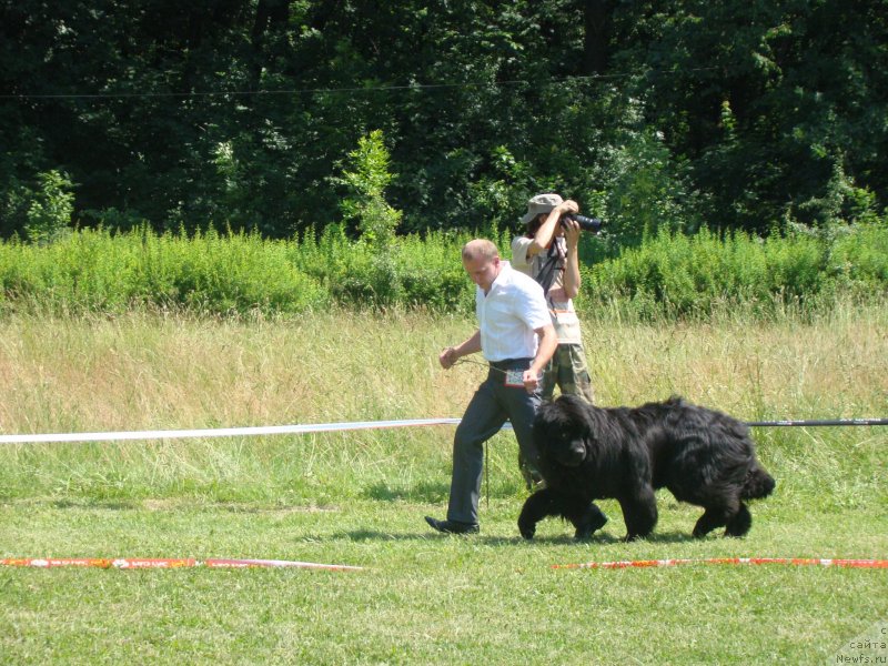 Фотография № 130042