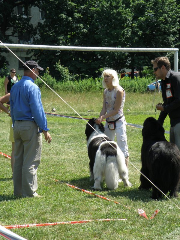 Фотография № 130044