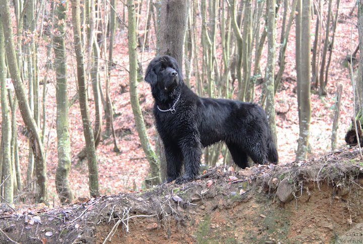 Фотография № 130052