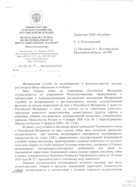 Фото: Елена Григорьева