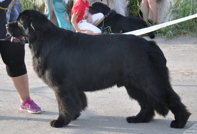 Фотография № 130077