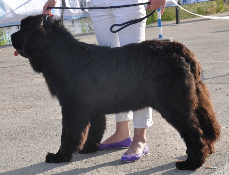 Фотография № 130078