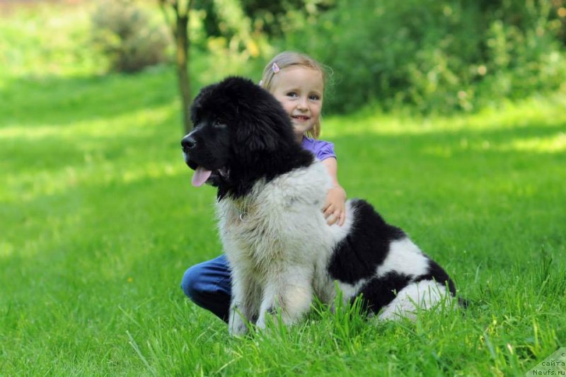 Фотография № 130084