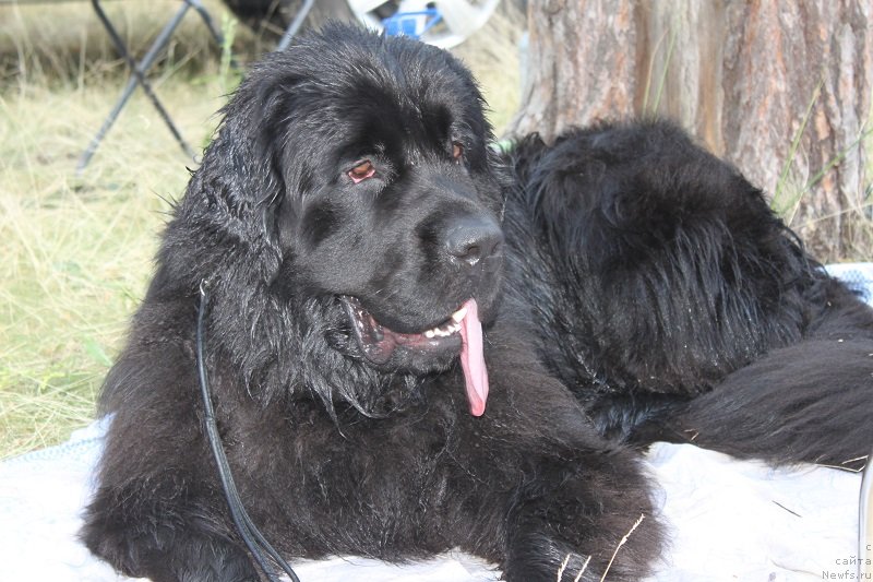 Фотография № 130116