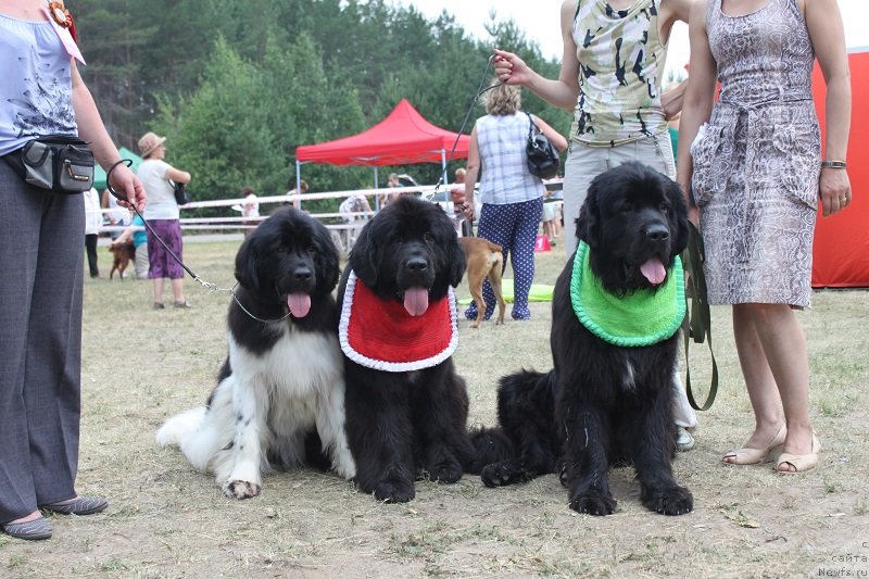 Фотография № 130118